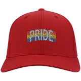 Pride Maze Twill Cap